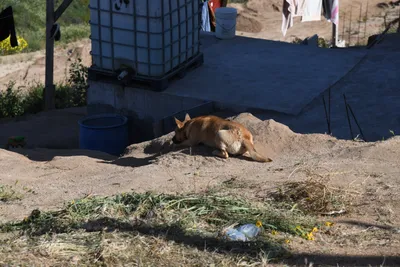 DSC_5161 (Large).JPG